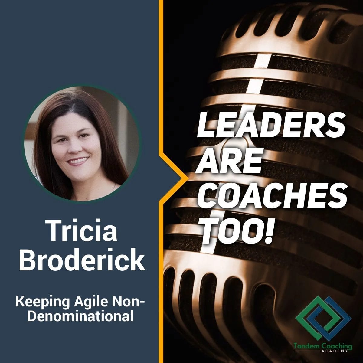 Leaders Are Coaches Too with Tricia Broderick