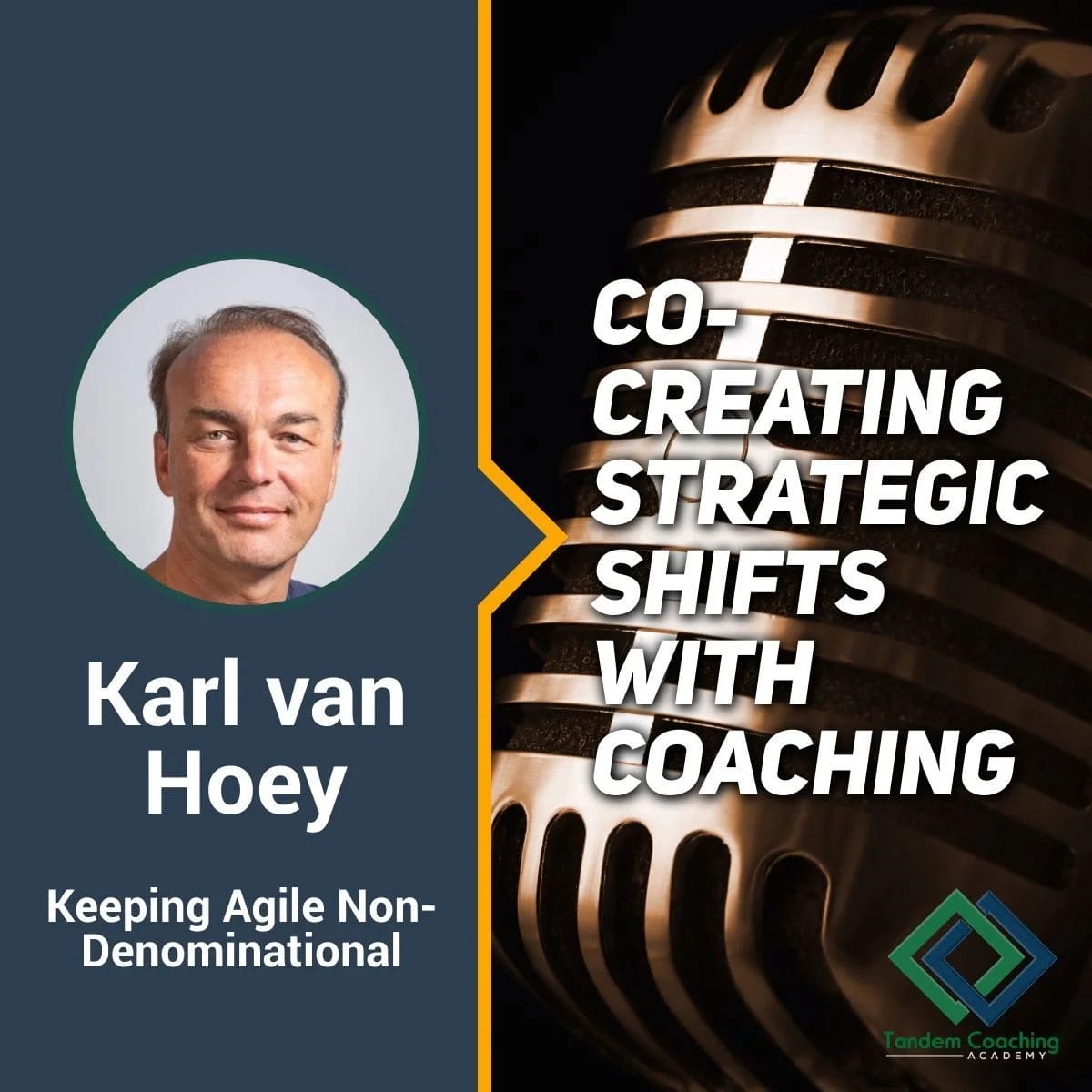 Co-creating Strategic Shifts with Coaching with Karl Van Hoey