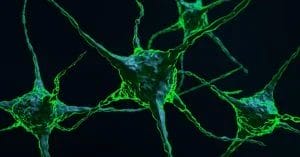 Loops and Knots - Amplifying Your Coaching Impact