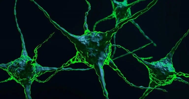 Loops and Knots - Amplifying Your Coaching Impact