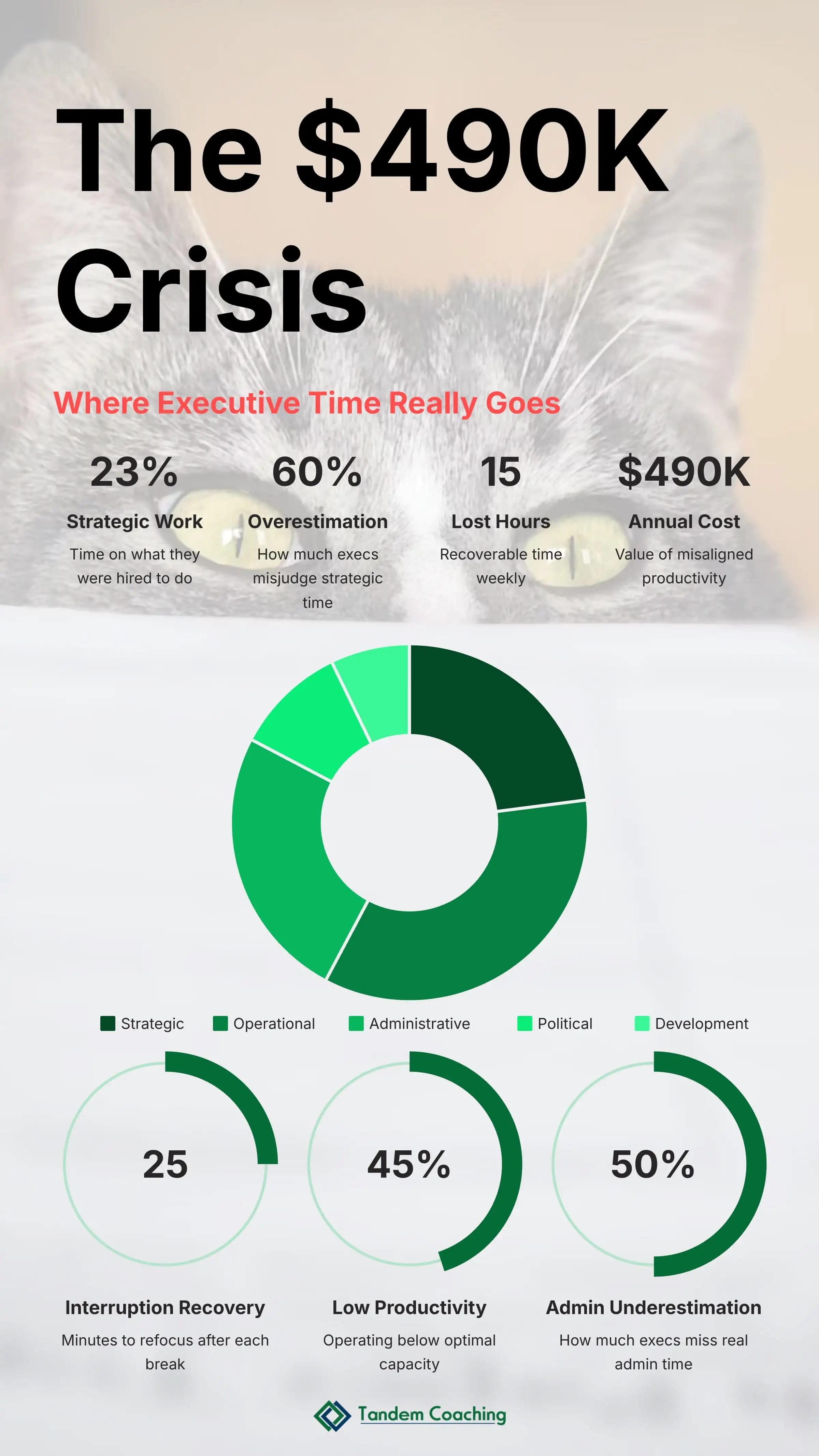 The 490k Dollar Crisis
