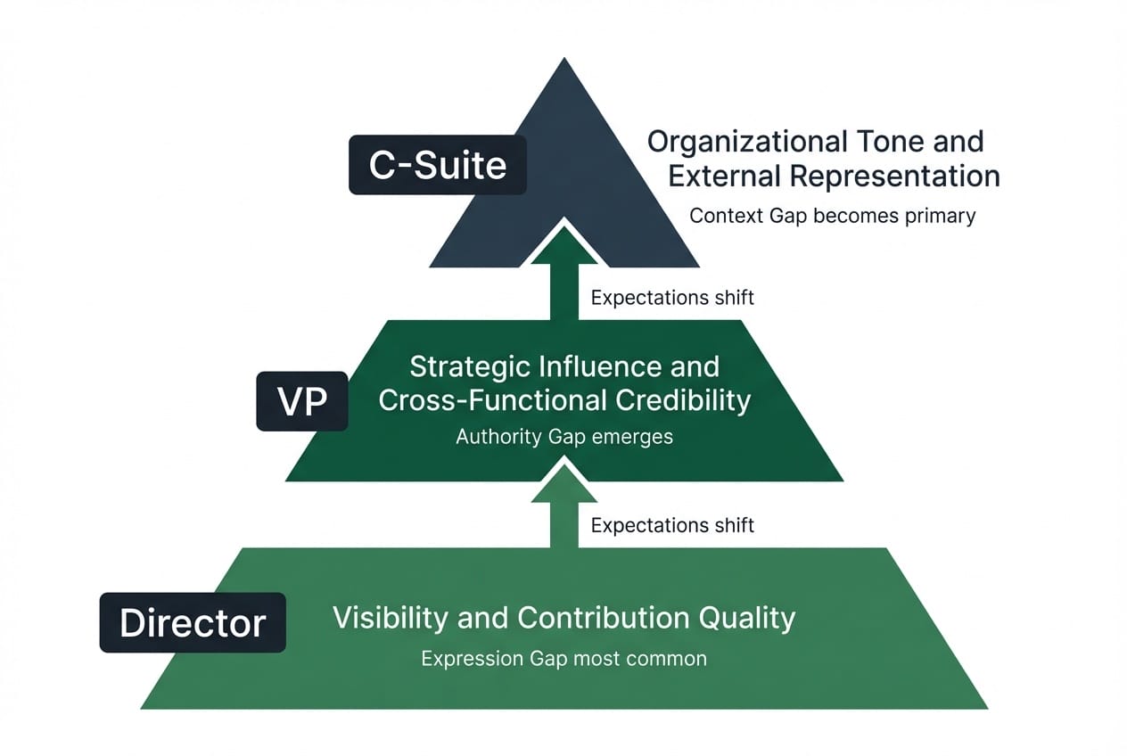 Executive presence expectations across three organizational levels: directors need visibility and contribution quality, VPs need strategic influence and cross-functional credibility, C-suite leaders set organizational tone, with the dominant gap type shifting at each transition.