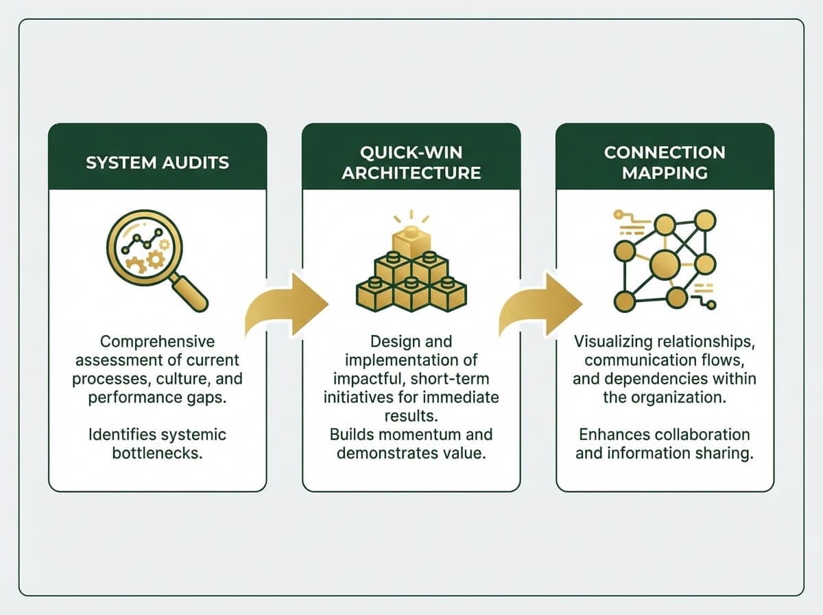 Three organizational coaching interventions: system audits, quick-win architecture, and connection mapping