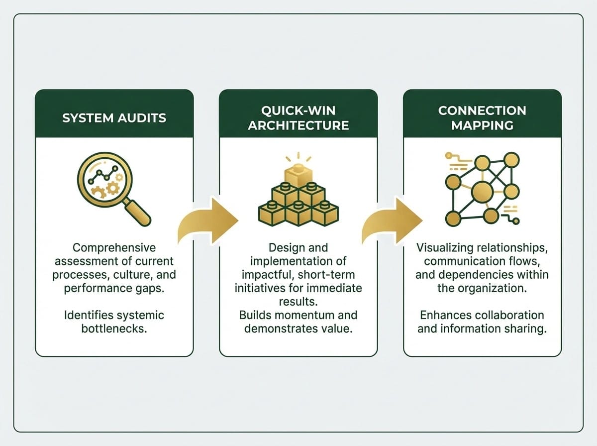 Three organizational coaching interventions: system audits, quick-win architecture, and connection mapping