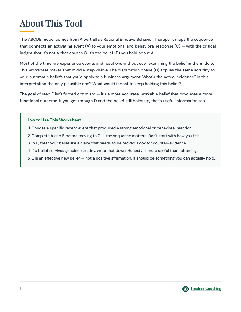 ABCDE Model Worksheet - preview