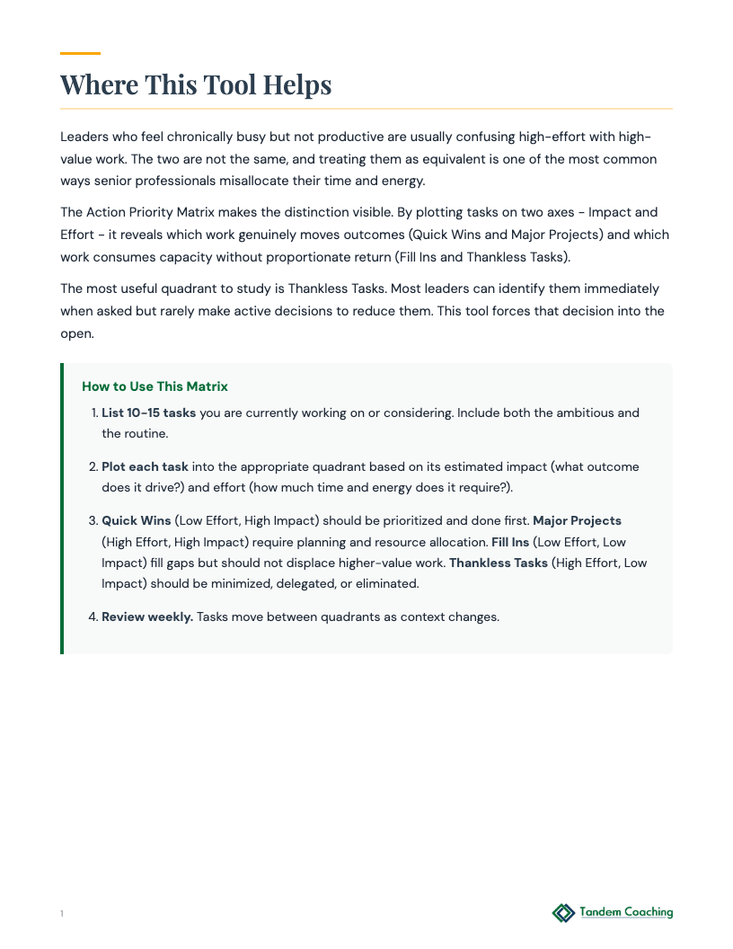 Action Priority Matrix - preview