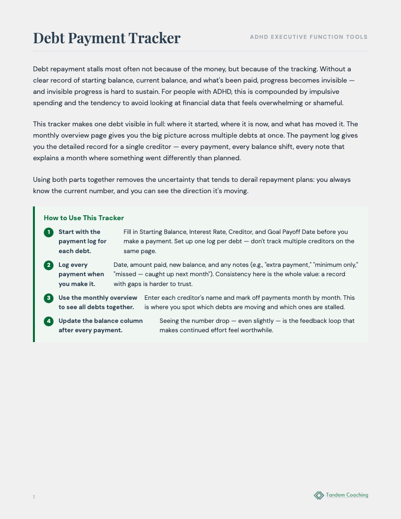 ADHD Debt Payment Tracker - preview