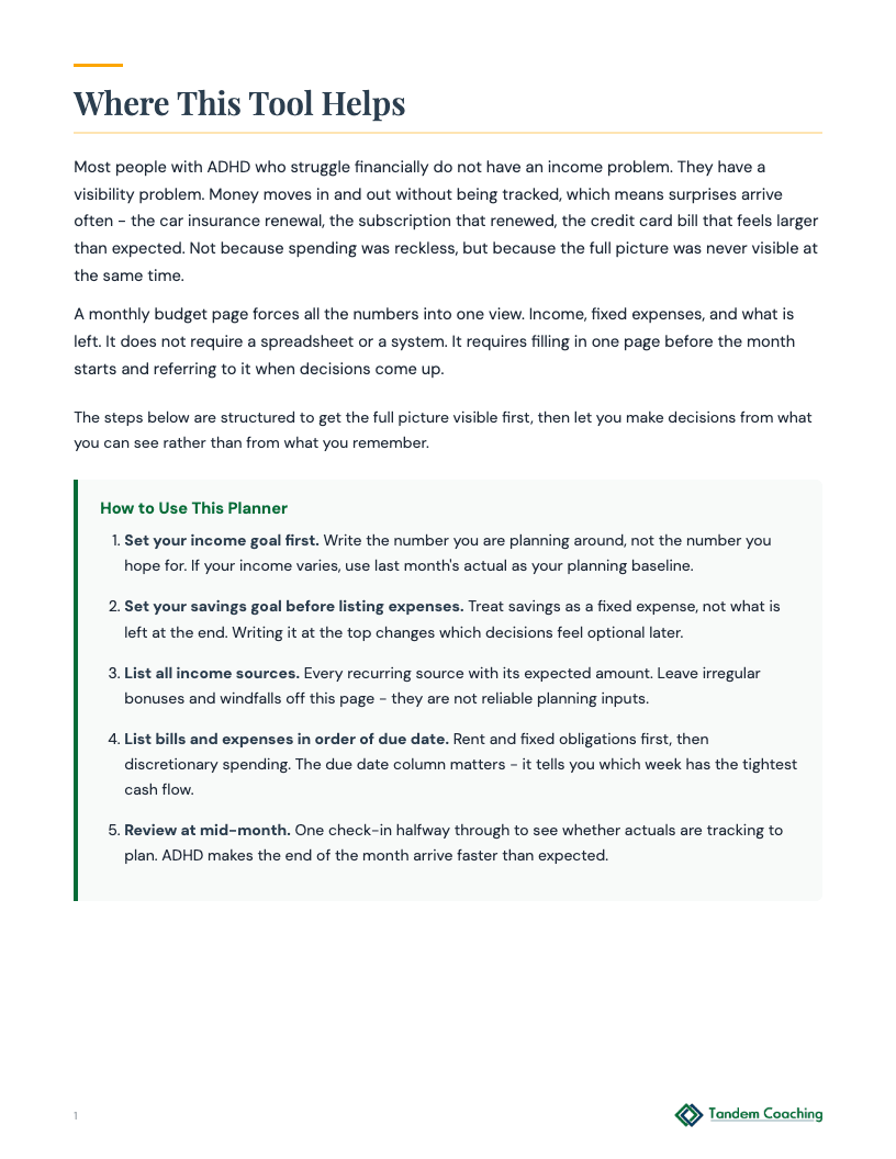 ADHD Monthly Budget - preview