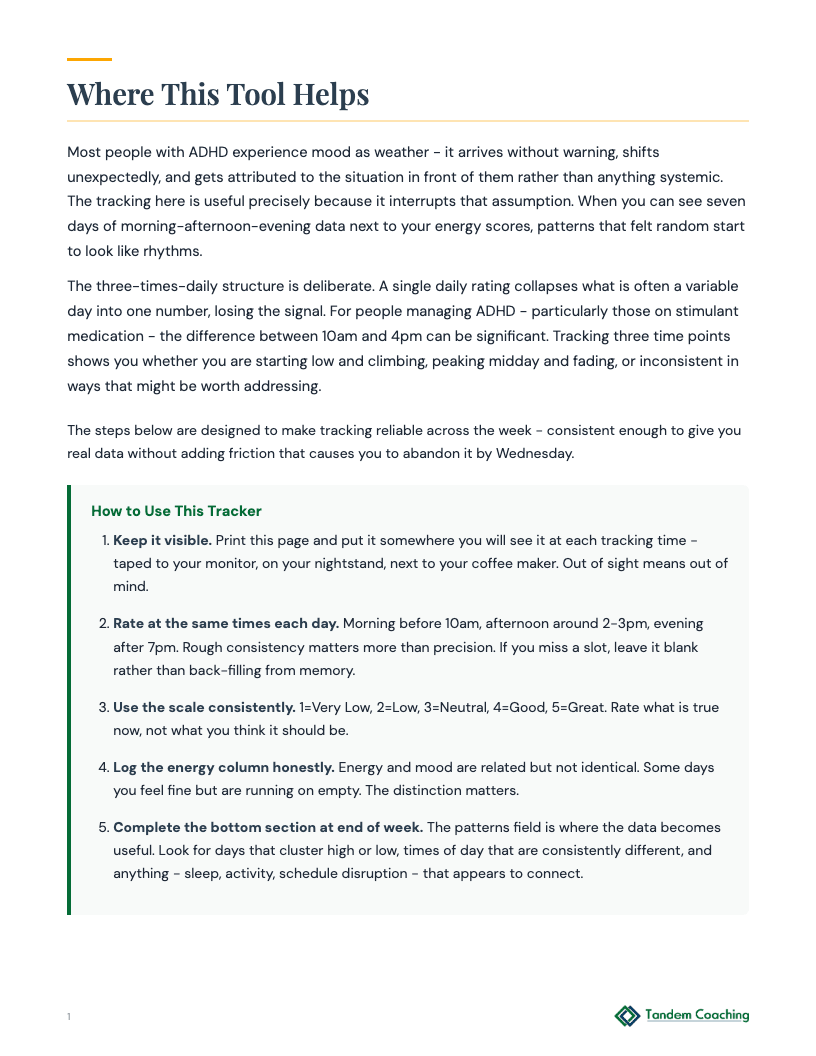 ADHD Mood Tracker - preview