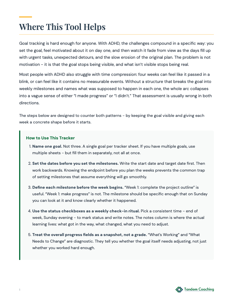 ADHD Progress Tracker - preview