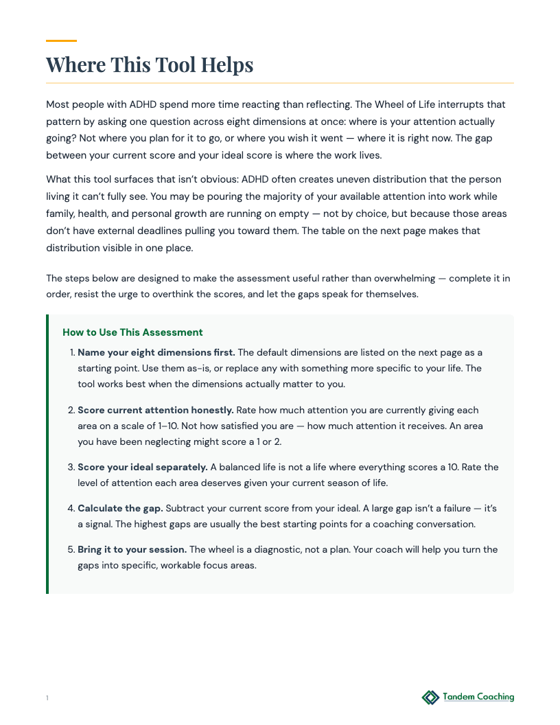 ADHD Wheel of Life Assessment - preview