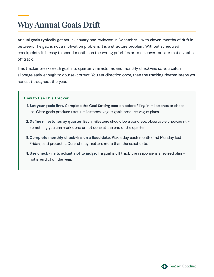 Annual Goal Tracker - preview