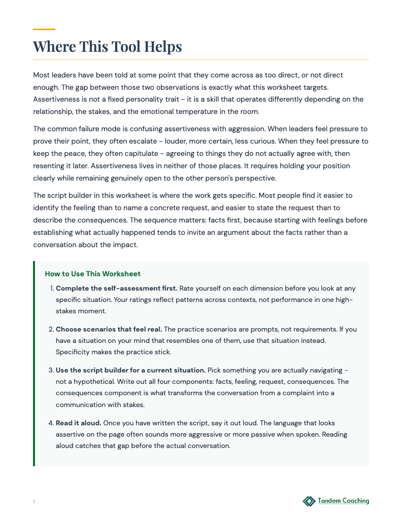 Assertiveness Practice Worksheet - preview