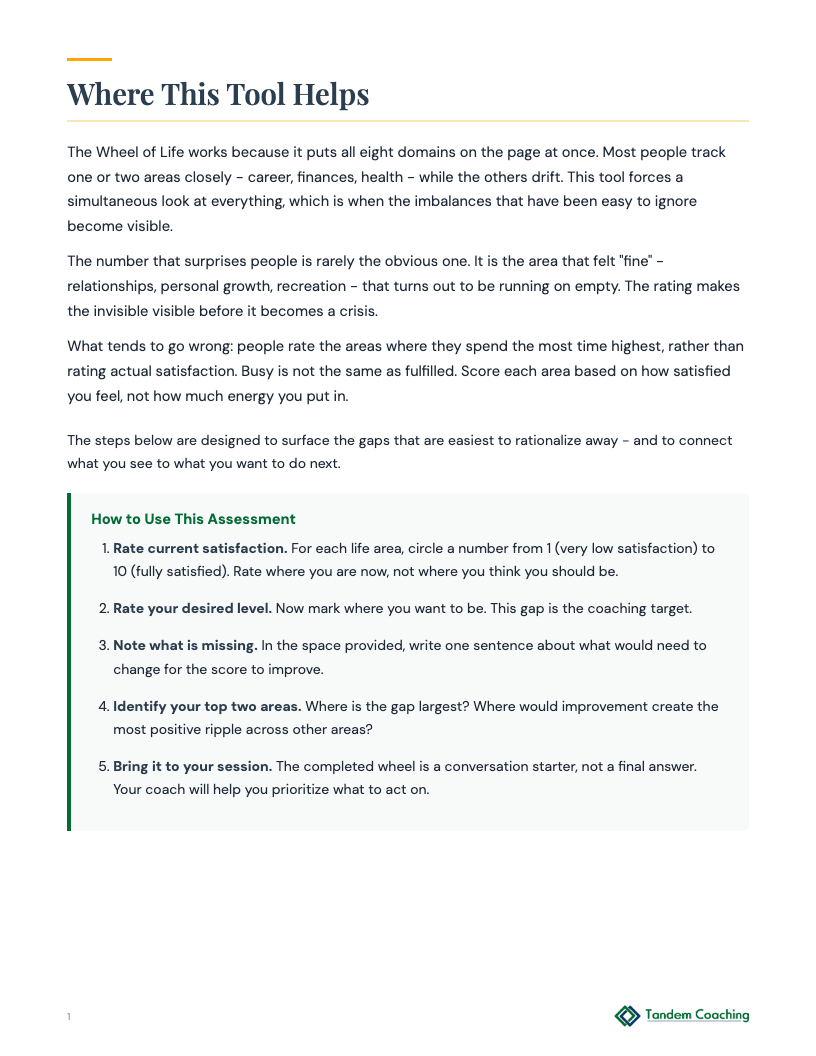 Wheel of Life Assessment - preview