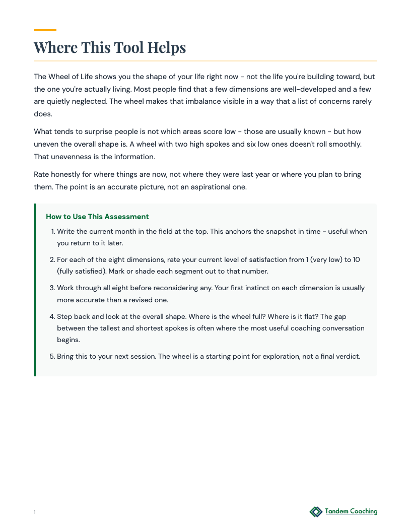 Wheel of Life Assessment - preview