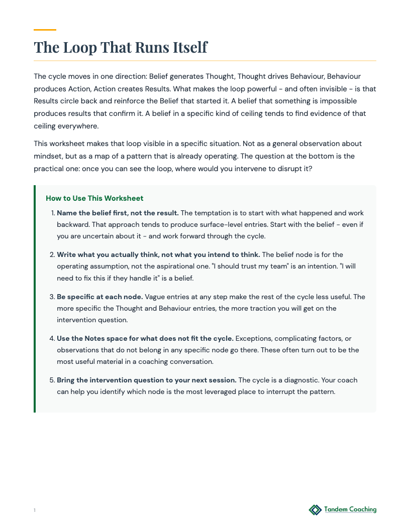 Belief-Results Cycle - preview