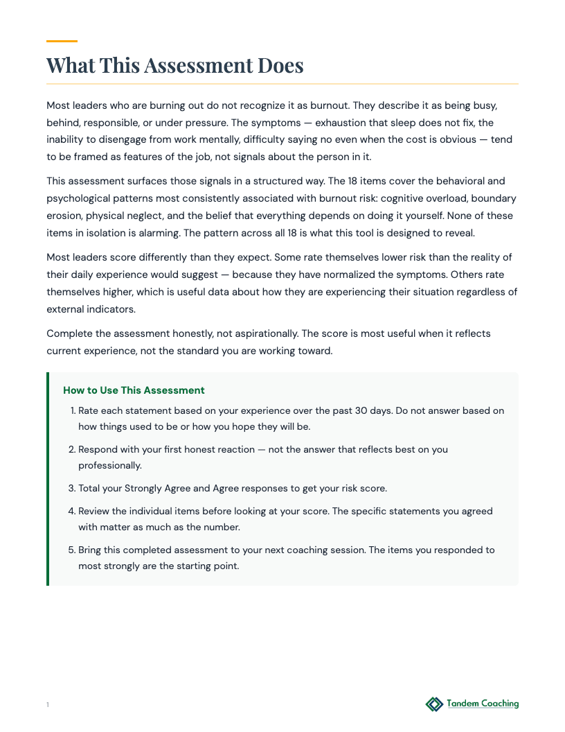 Burnout Risk Assessment - preview
