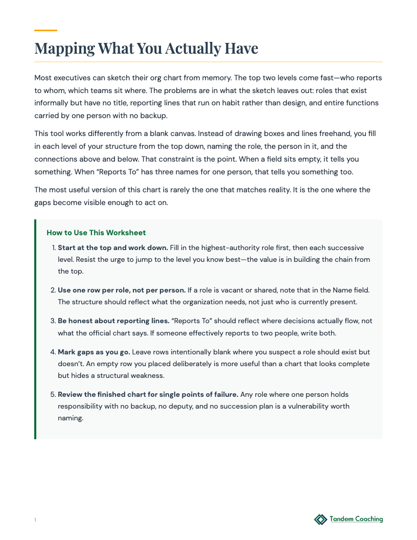 Business Structure Chart - preview