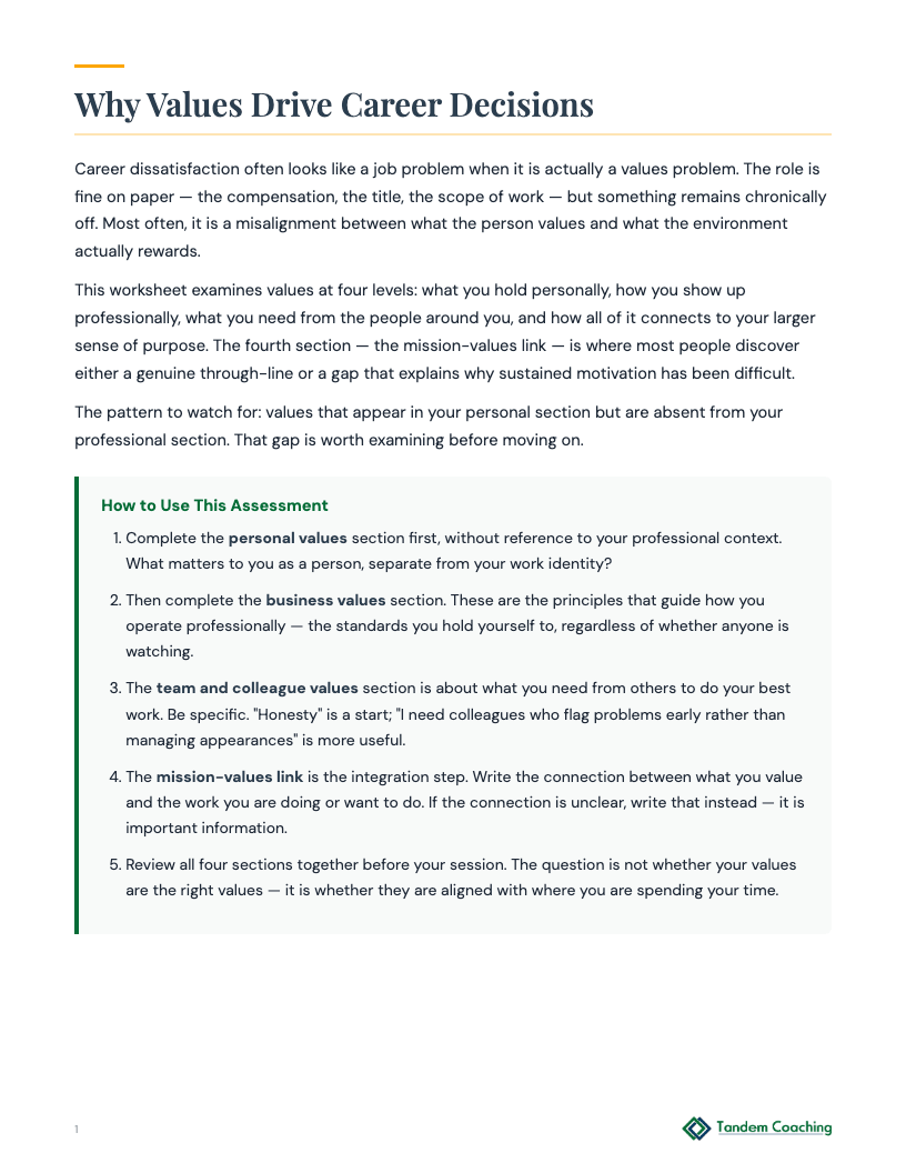 Career Values Assessment - preview
