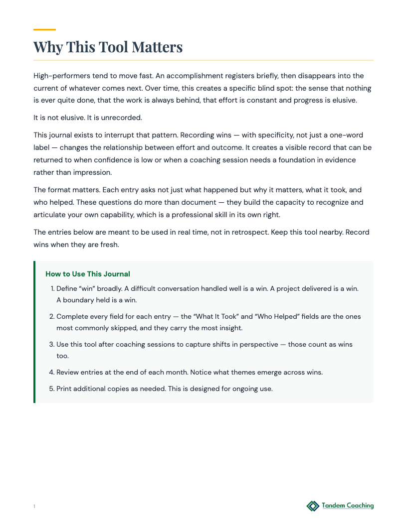 Celebrate Your Wins Journal - preview