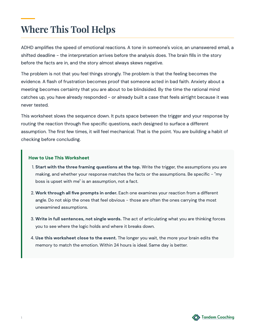 Check the Facts Worksheet - preview