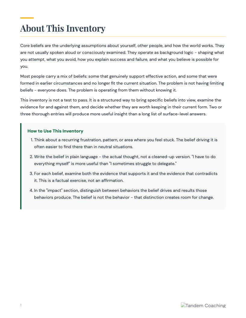 Core Beliefs Inventory - preview