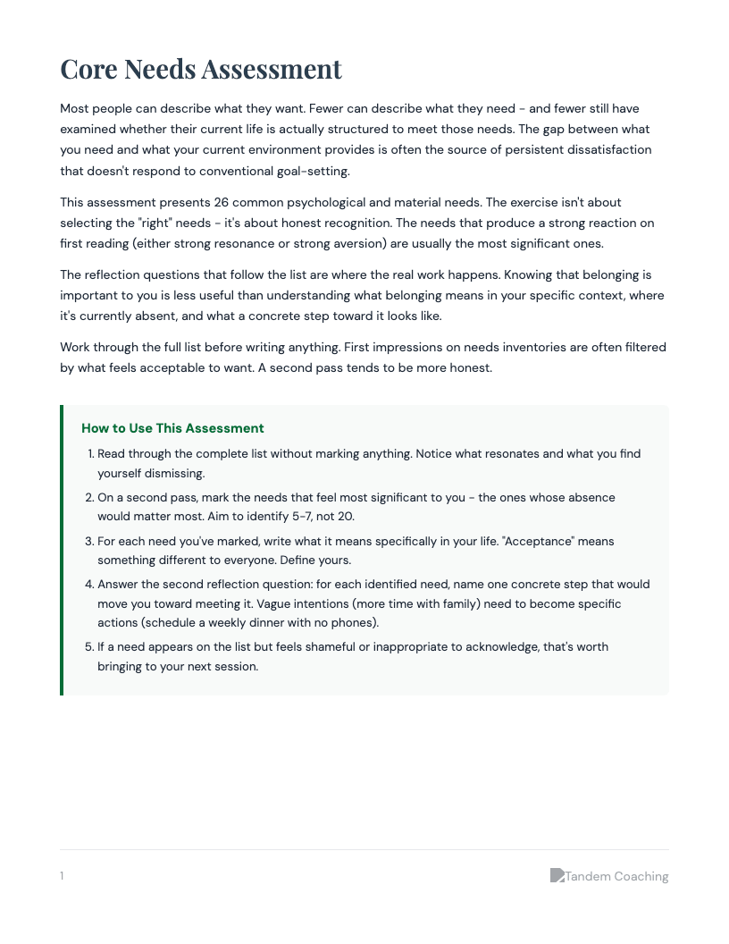 Core Needs Assessment - preview