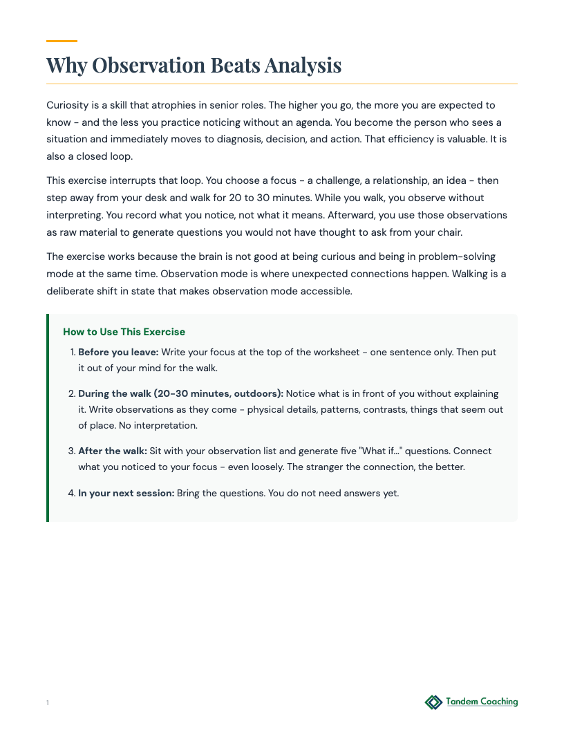 Curiosity Walk Exercise - preview