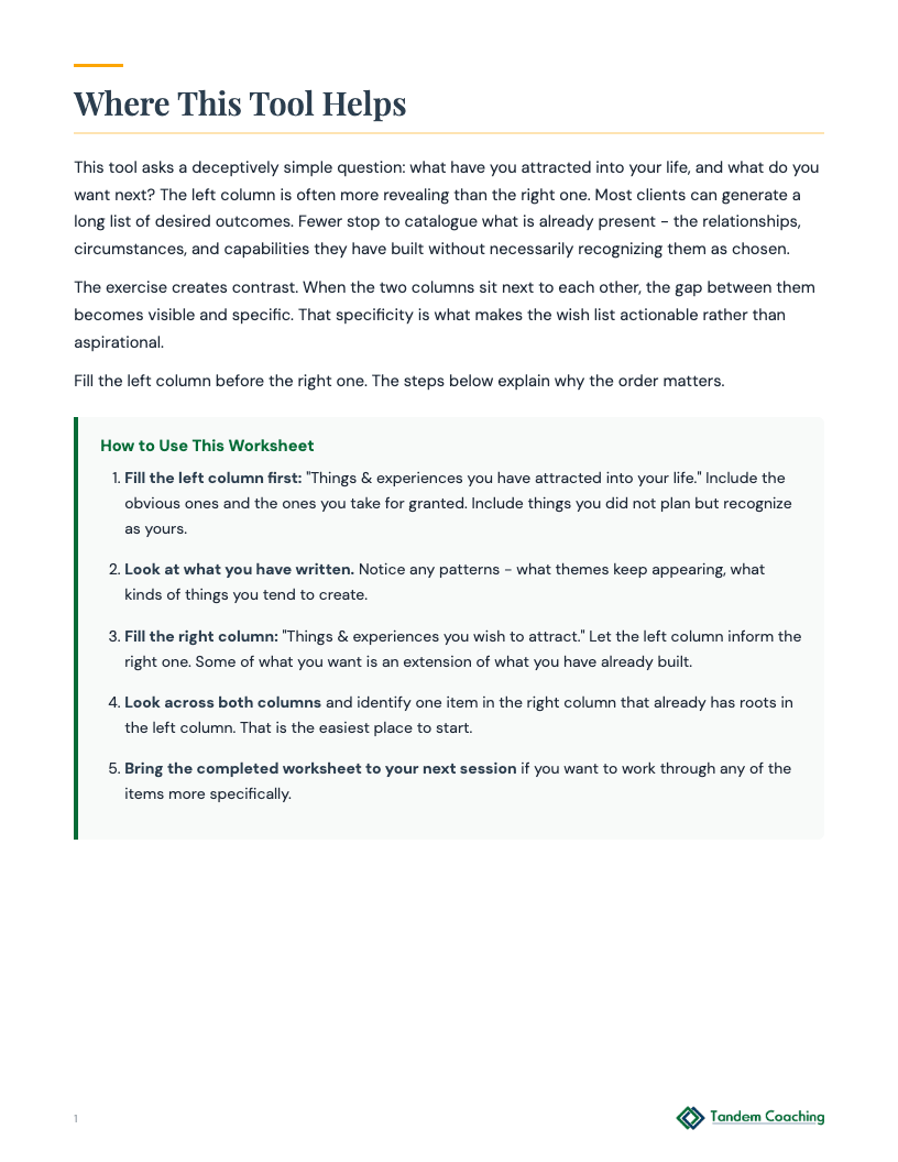 Current & Future Attractions - preview