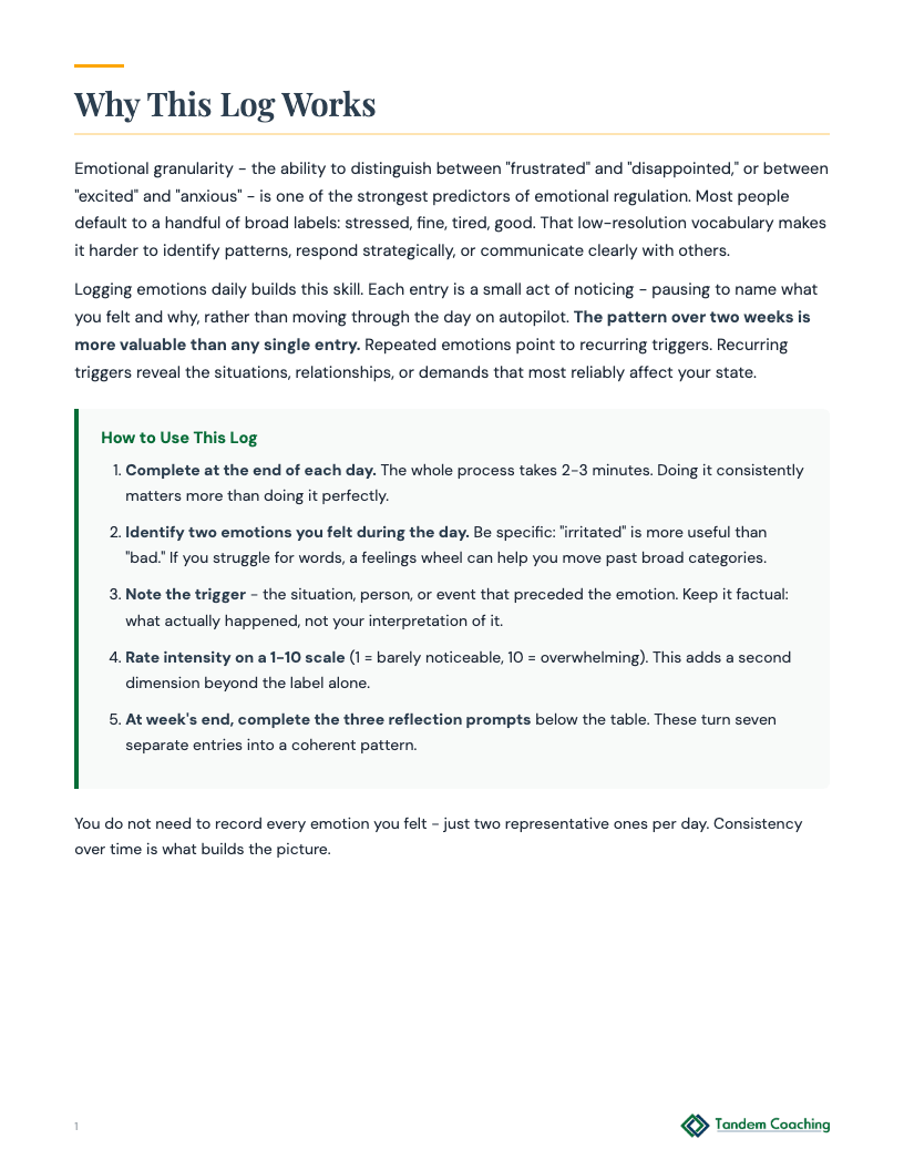 Daily Emotions Log - preview