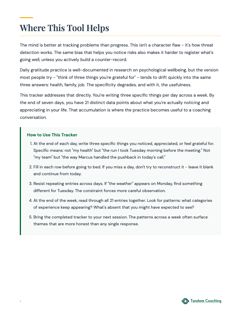 Daily Gratitude Tracker - preview