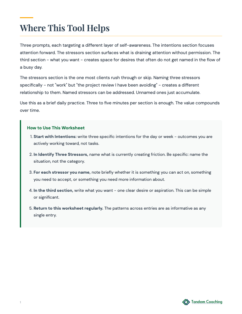 Daily Reflection Journal - preview