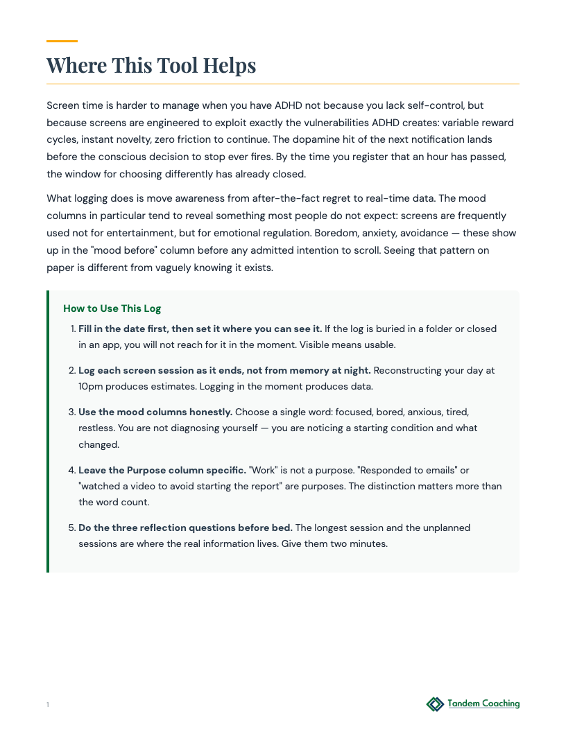 Daily Screen Time Log - preview