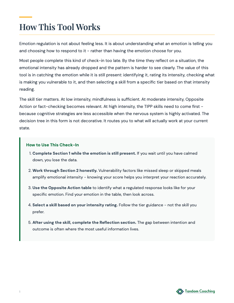 DBT Emotion Regulation Check-In - preview