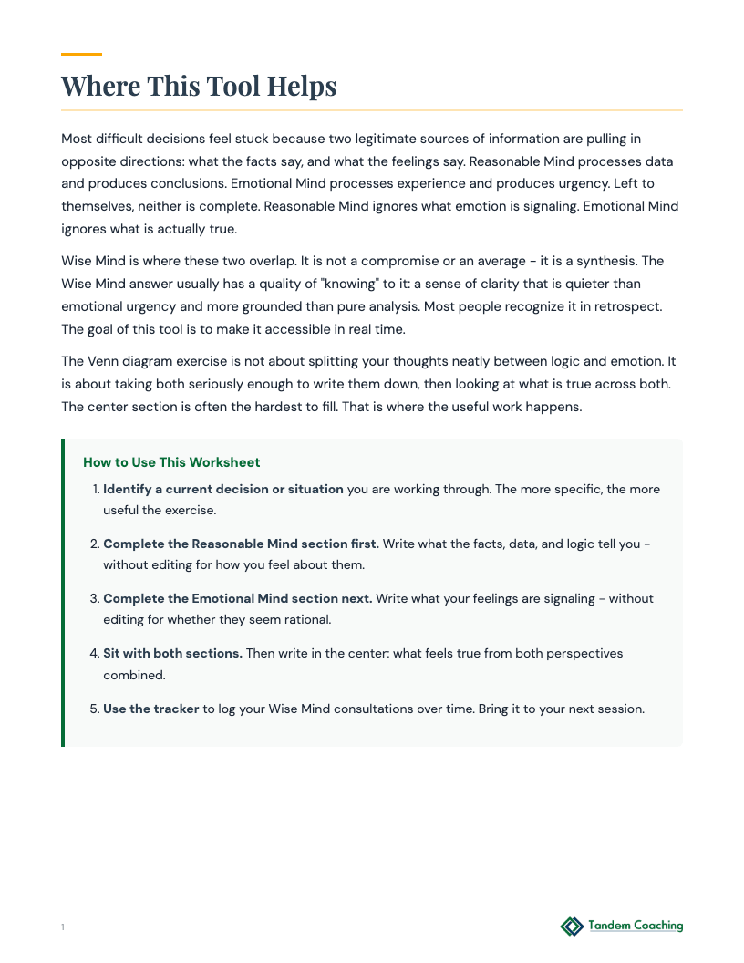 DBT Wise Mind Worksheet - preview