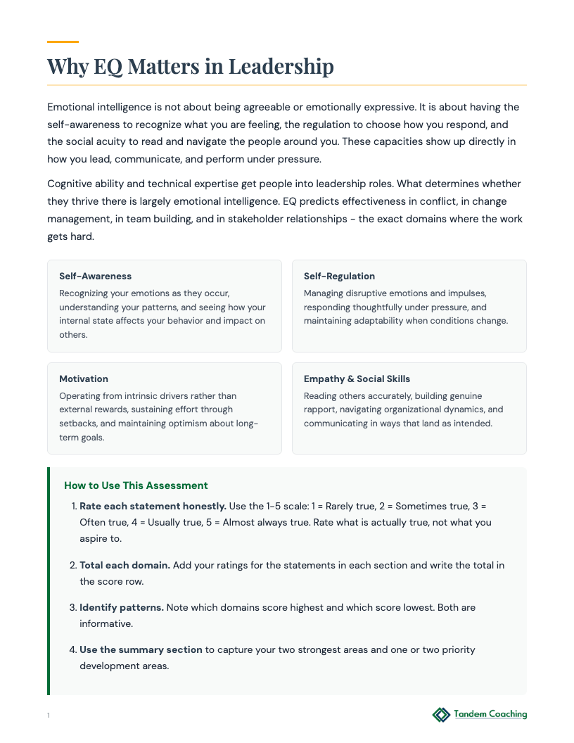Emotional Intelligence Assessment - preview