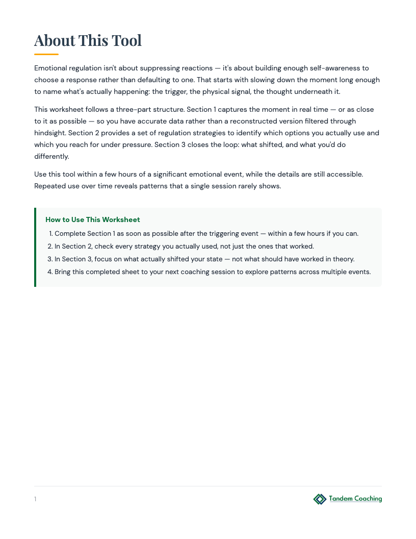 Emotional Regulation Toolkit - preview