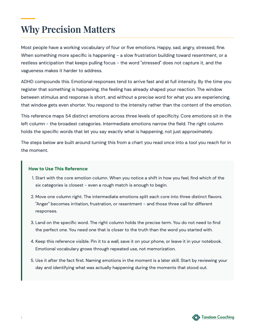 Emotional Vocabulary Reference - preview