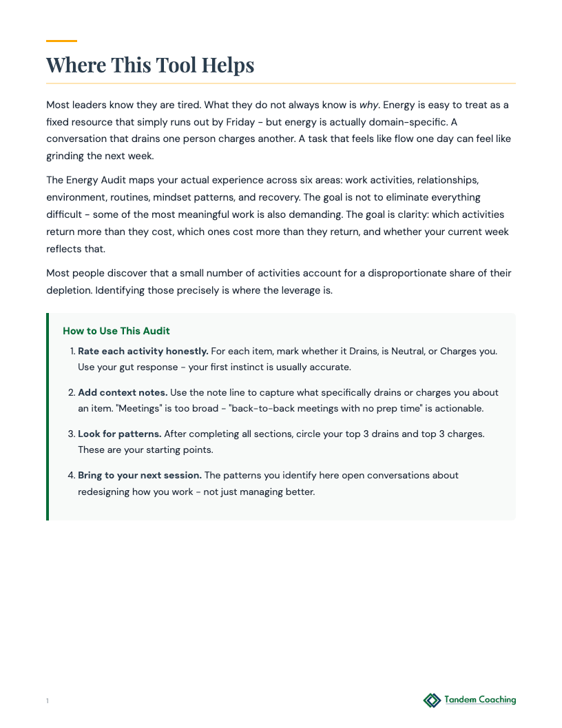 Energy Audit - preview