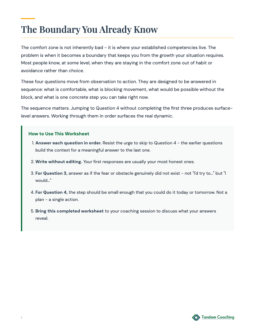 Escaping the Comfort Zone - preview