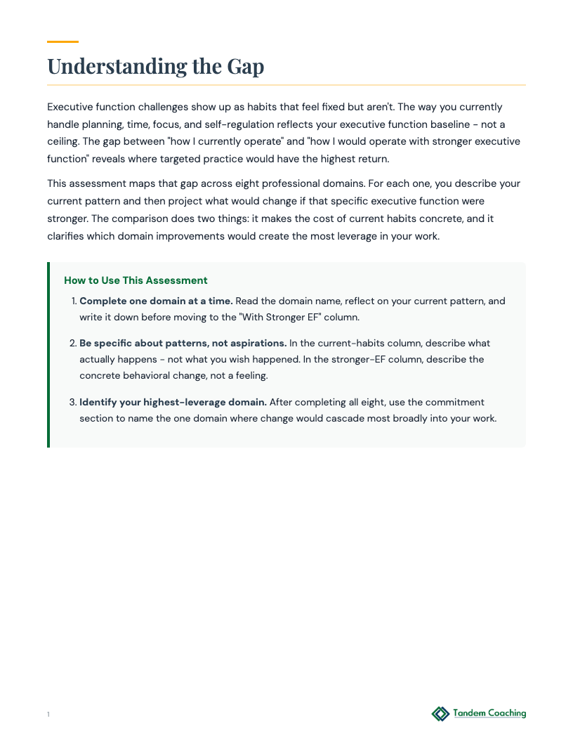 Executive Function Habits Assessment - preview