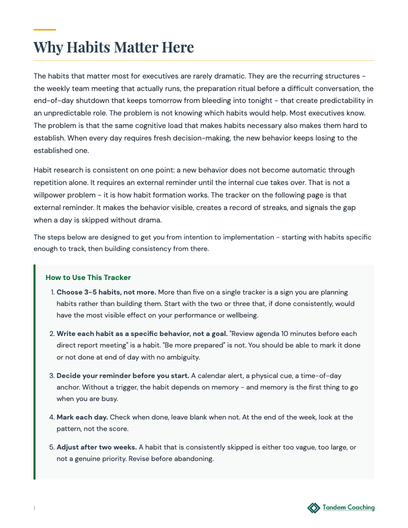 Executive Habit Builder - preview