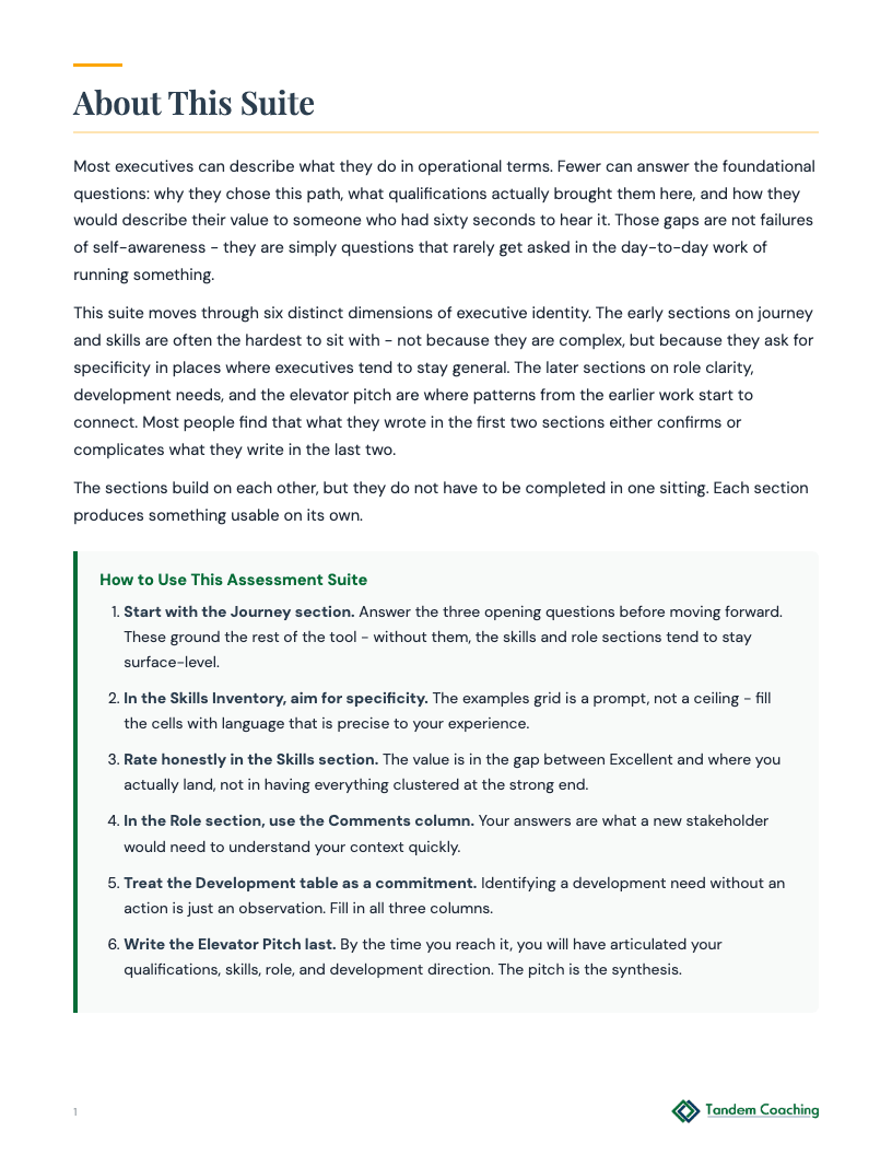 Executive Self-Assessment Suite - preview