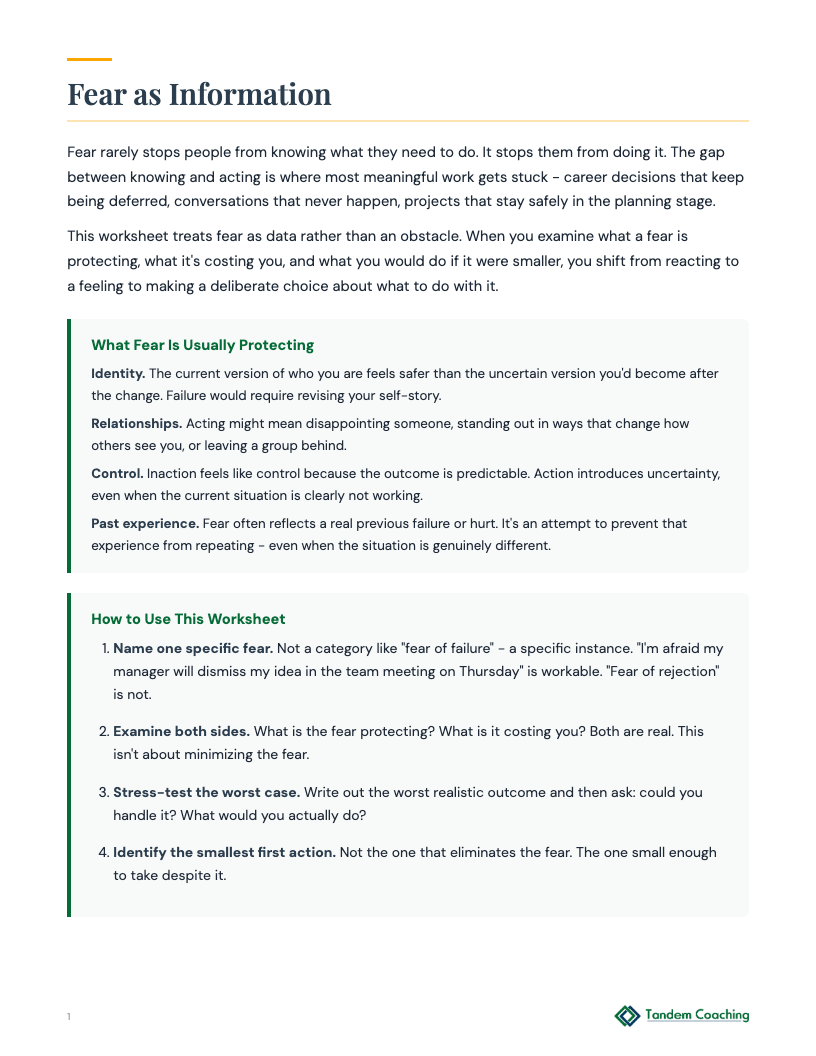 Fear to Action Worksheet - preview