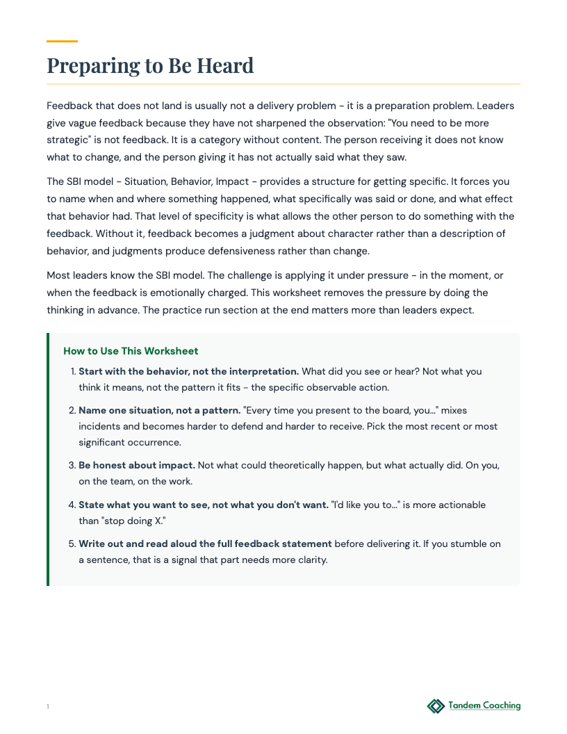 Feedback Delivery Worksheet - preview