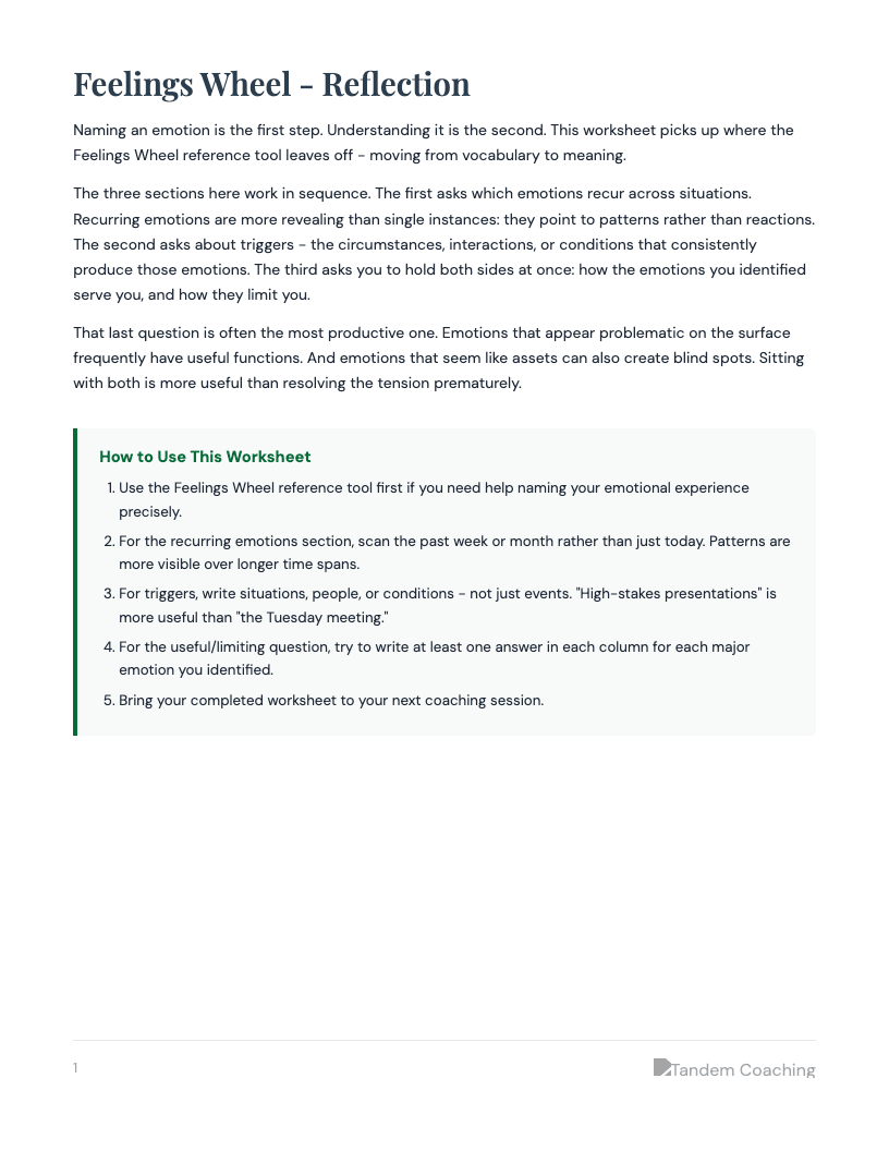 Feelings Wheel - Reflection - preview