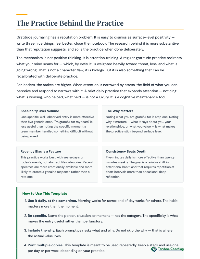 Gratitude Journal Template - preview