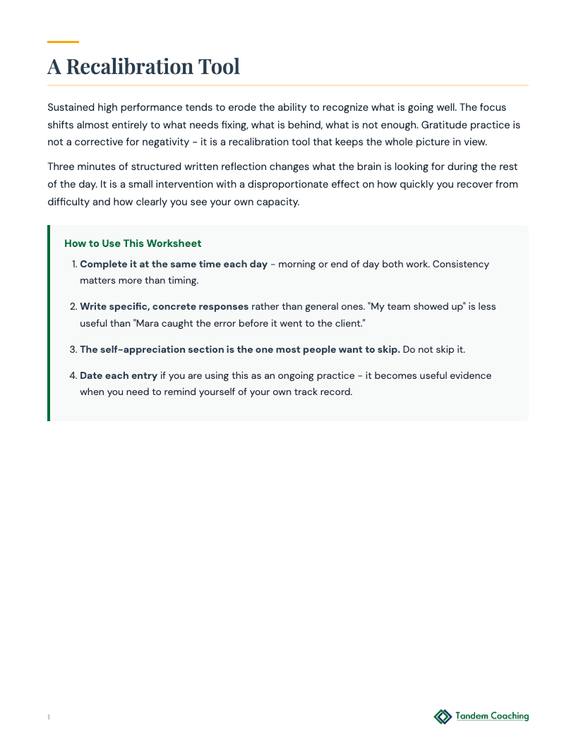 Gratitude Reflection Worksheet - preview