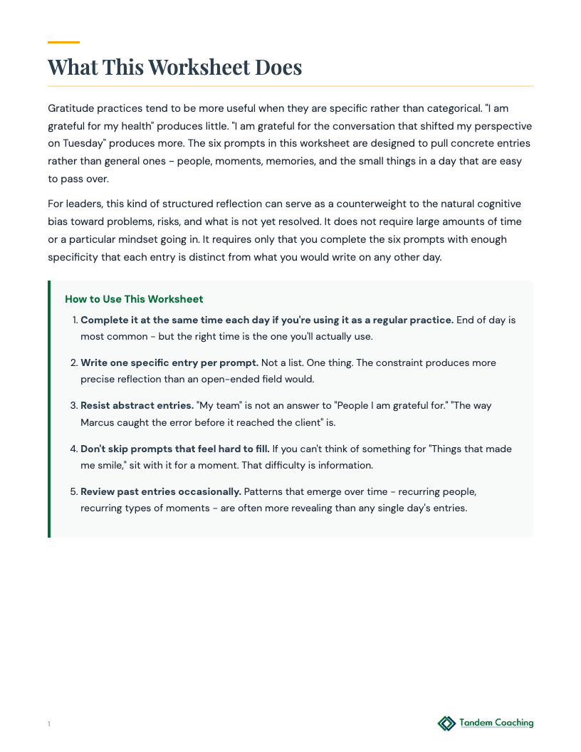 Gratitude Worksheet - preview