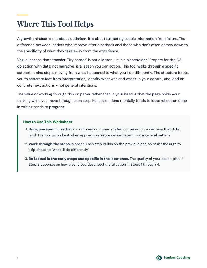 Growth Mindset Action Plan - preview